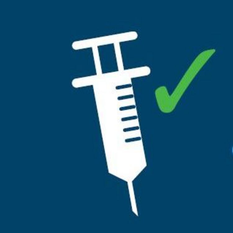 Icon Impfspritze und Haken