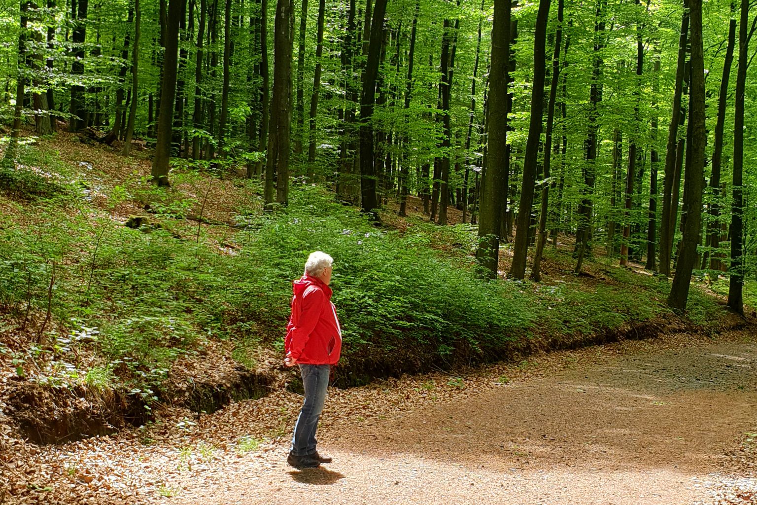 Symbolbild: Patient Peter S. im Wald spazierend