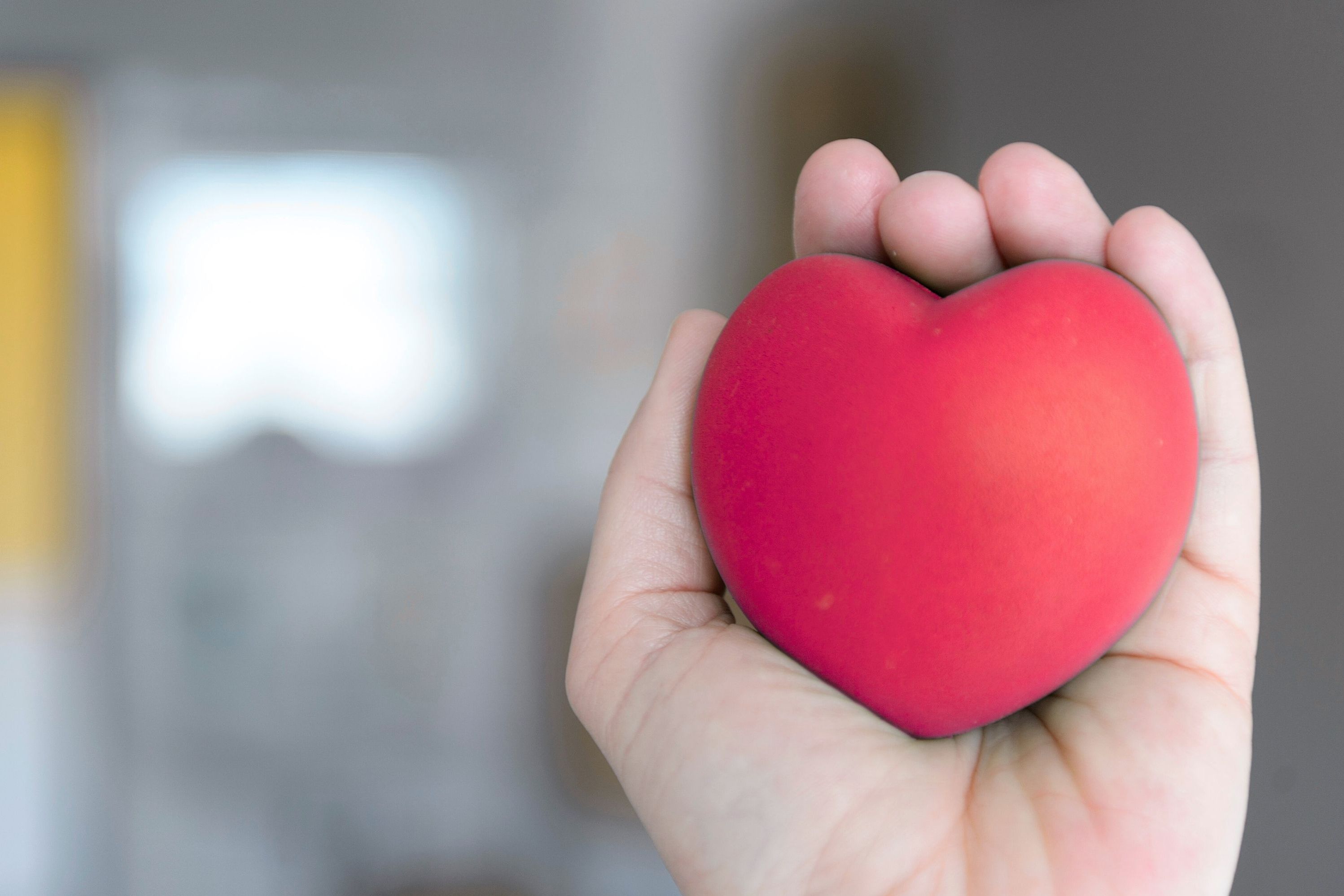 Symbolbild zum Thema Organspende: Eine Hand hält ein rotes Herz in der Hand