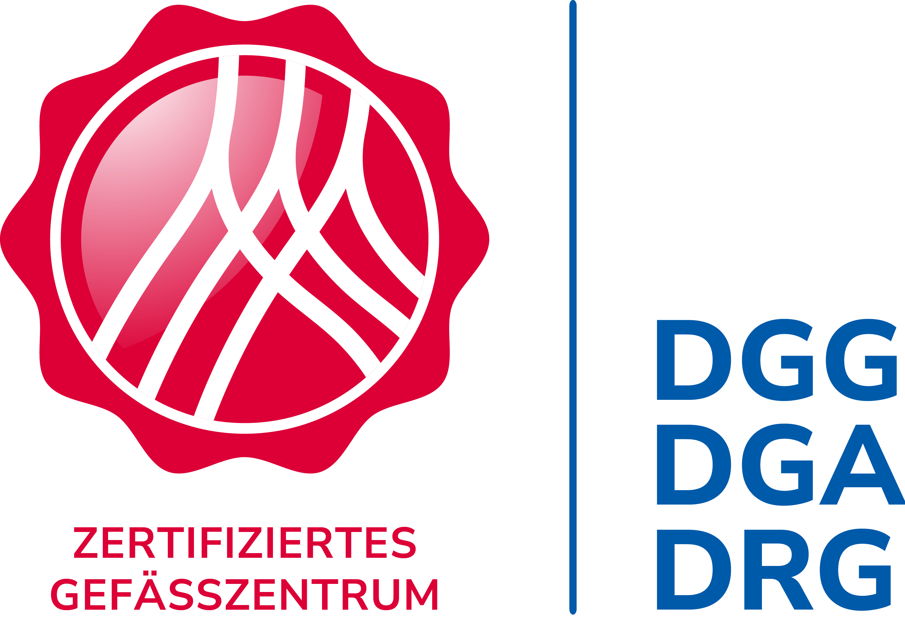 Signet nach DGG/DGA/DRG Zertifiziertes Gefäßzentrum